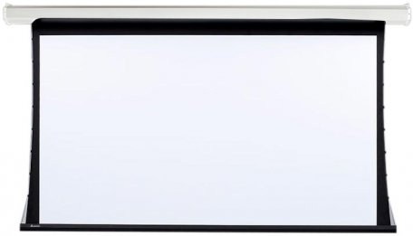 Draper Premier HDTV (9:16) 409/161" 201*356 XT1000VB (M1300) ebd 12" case white