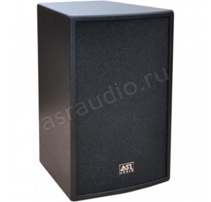 ASR Audio СS-110 P